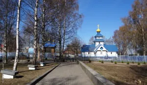 Москитная сетка на окно заказать и купить в СПб