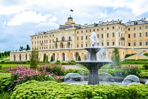 Москитная сетка на окно заказать и купить в СПб