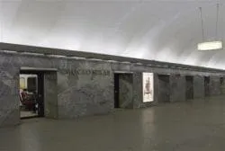 Москитная сетка на окно заказать и купить в СПб